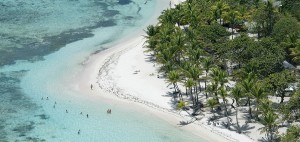 © Le papillon des Antilles et ses jolies îles voisines