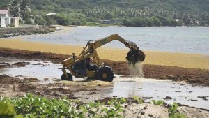 Guadeloupe. Marie-Galante a reçu les galettes du Président Chalus (3/3)