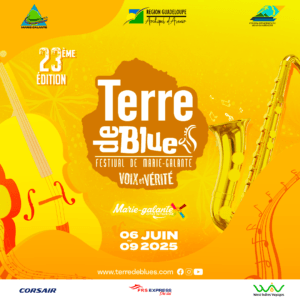 Festival Terre de Blues 2025